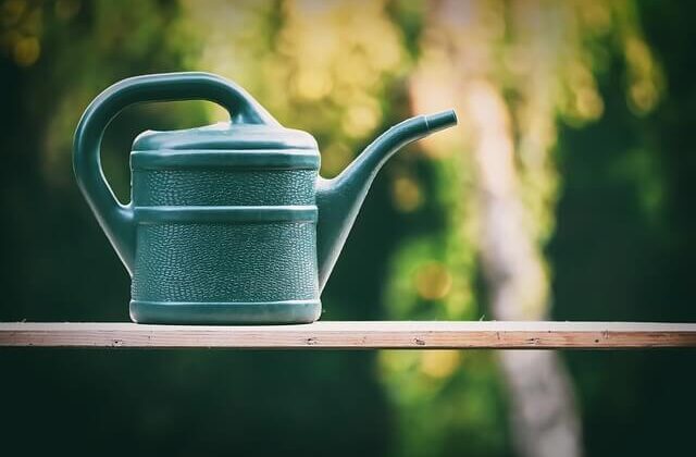 Die Bedeutung der Gartenpflege für Immobilienbesitzer – Warum es sich lohnt, ein professionelles Unternehmen zu beauftragen