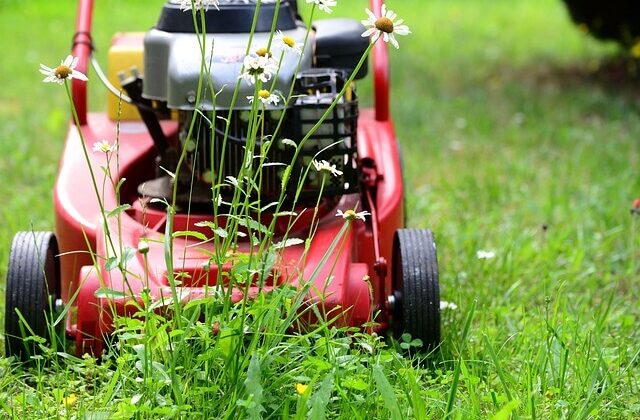 Gartenpflege im Frühling: Tipps und Tricks für einen erfolgreichen Start in die Gartensaison