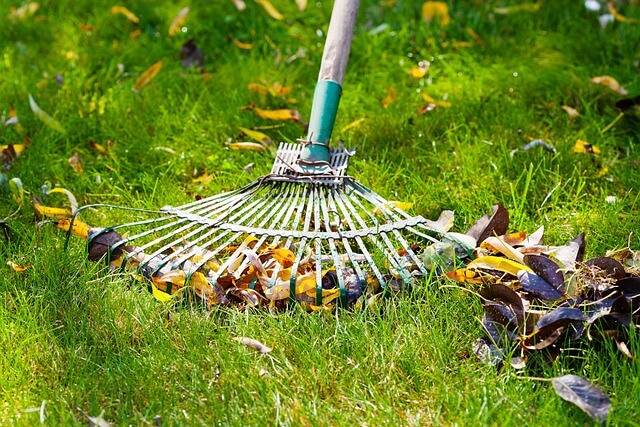 Tipps und Hinweise für die richtige Rasenpflege
