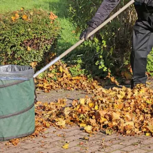 Fußwegreinigung mit viel Herbstlaub